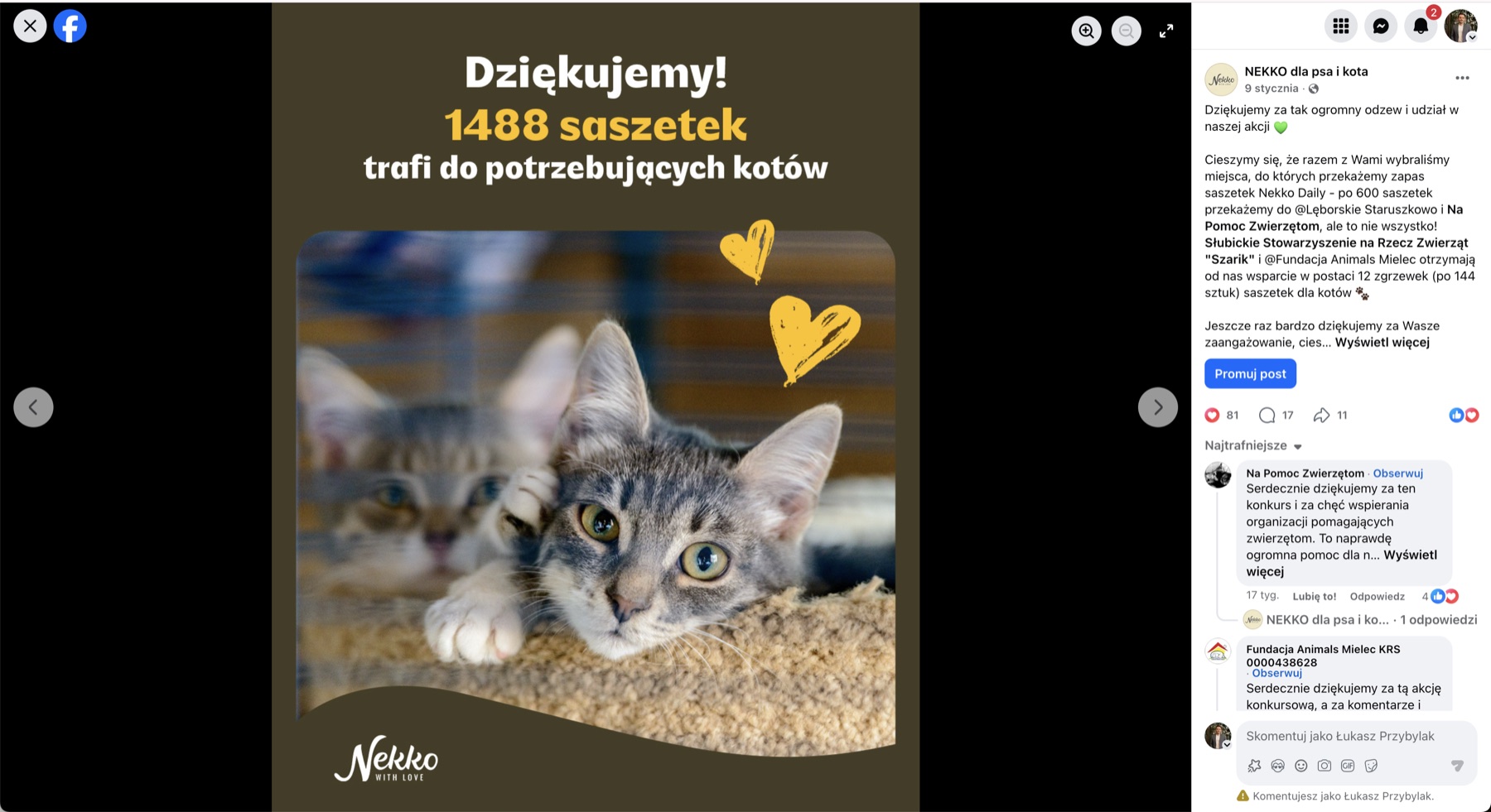 Post podsumowujący — Dziękujemy, 1488 saszetek trafi do potrzebujących kotów